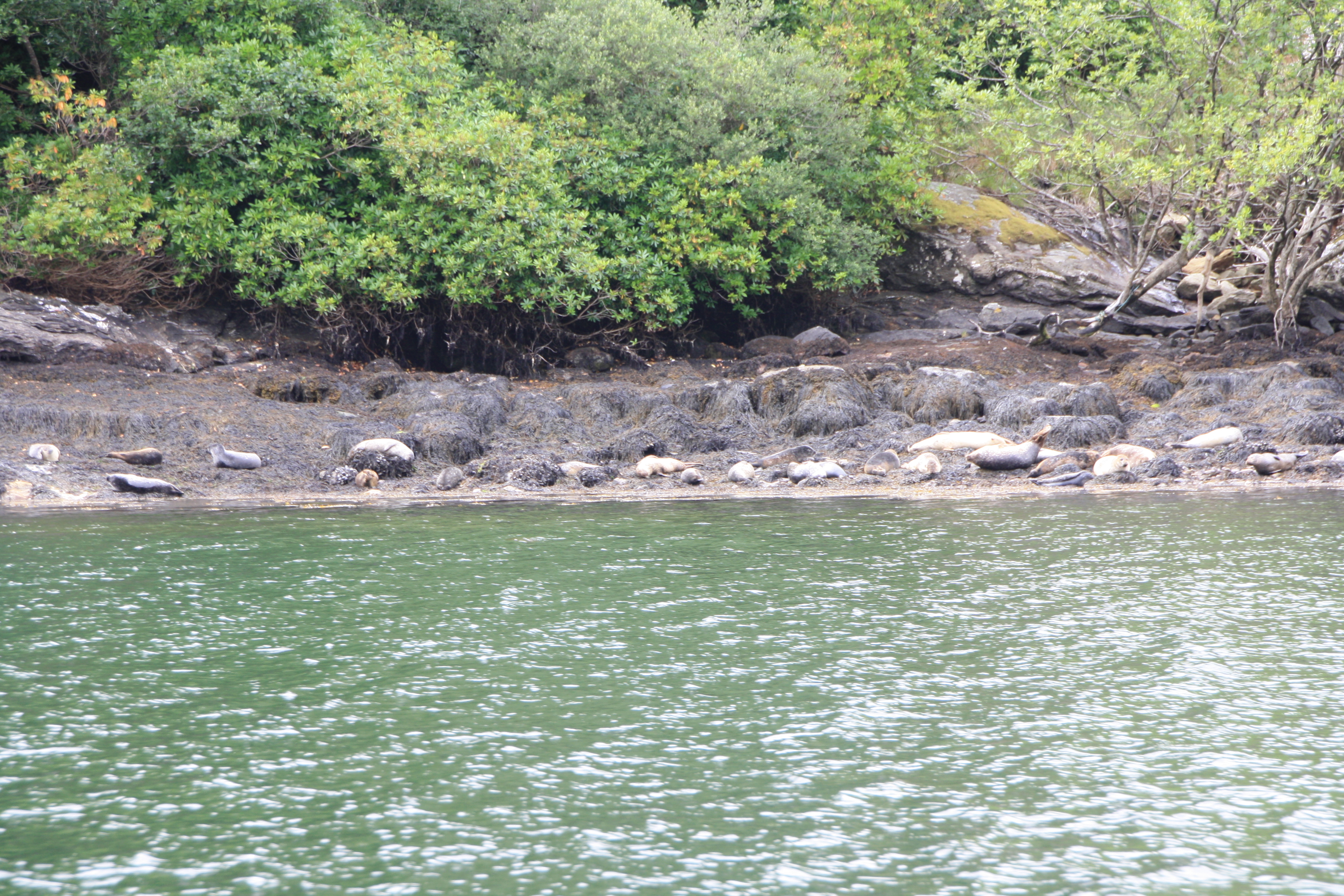 Seals